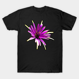 Purple Flower - Wild Salsify - Art T-Shirt